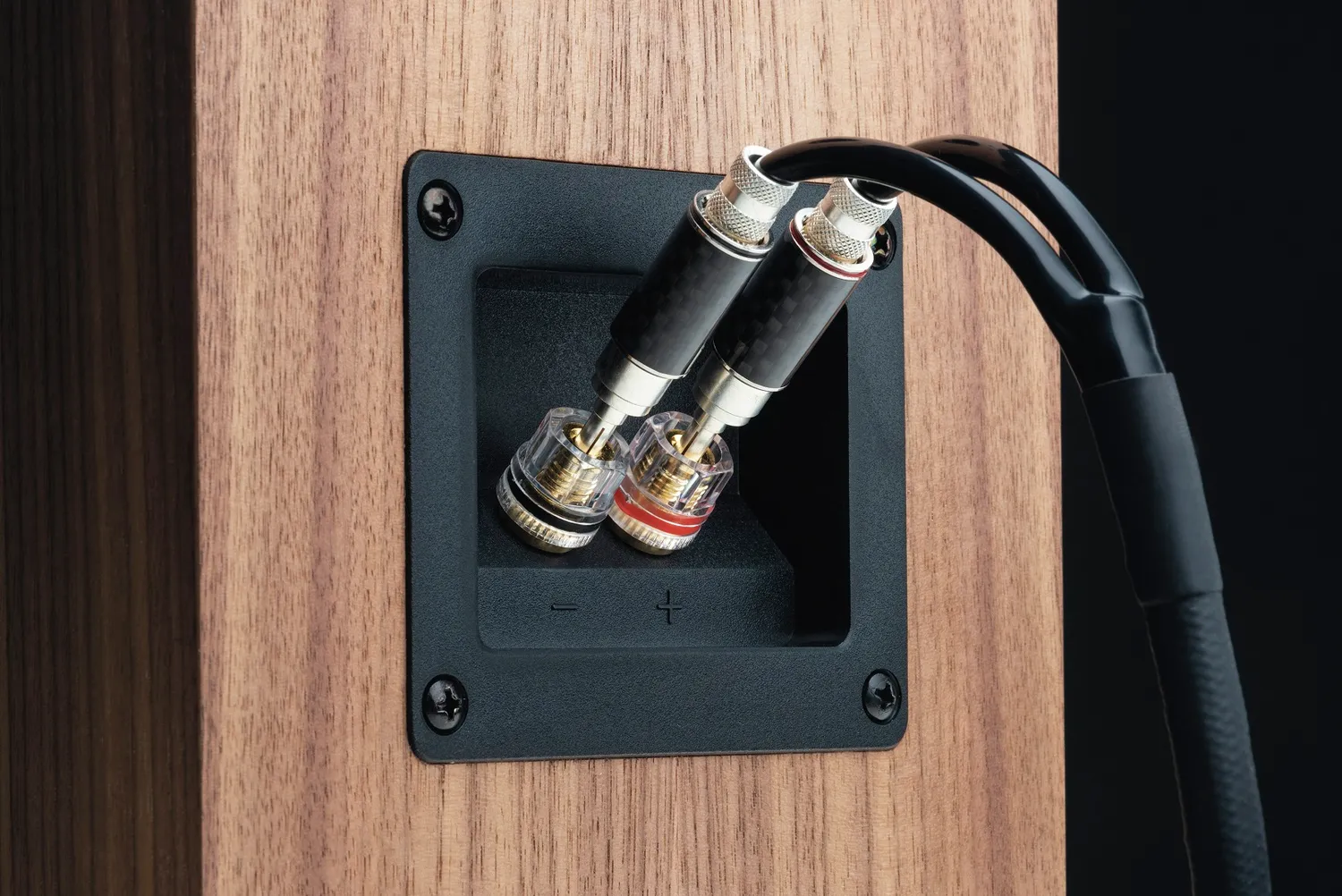 Pro-Ject Connect it LS RS högtalarkabel banan