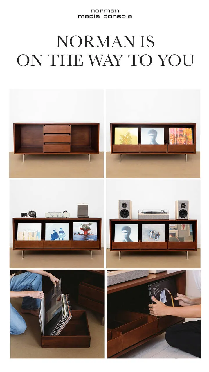 Gadhouse Norman Media Console mediabänk vinylförvaring