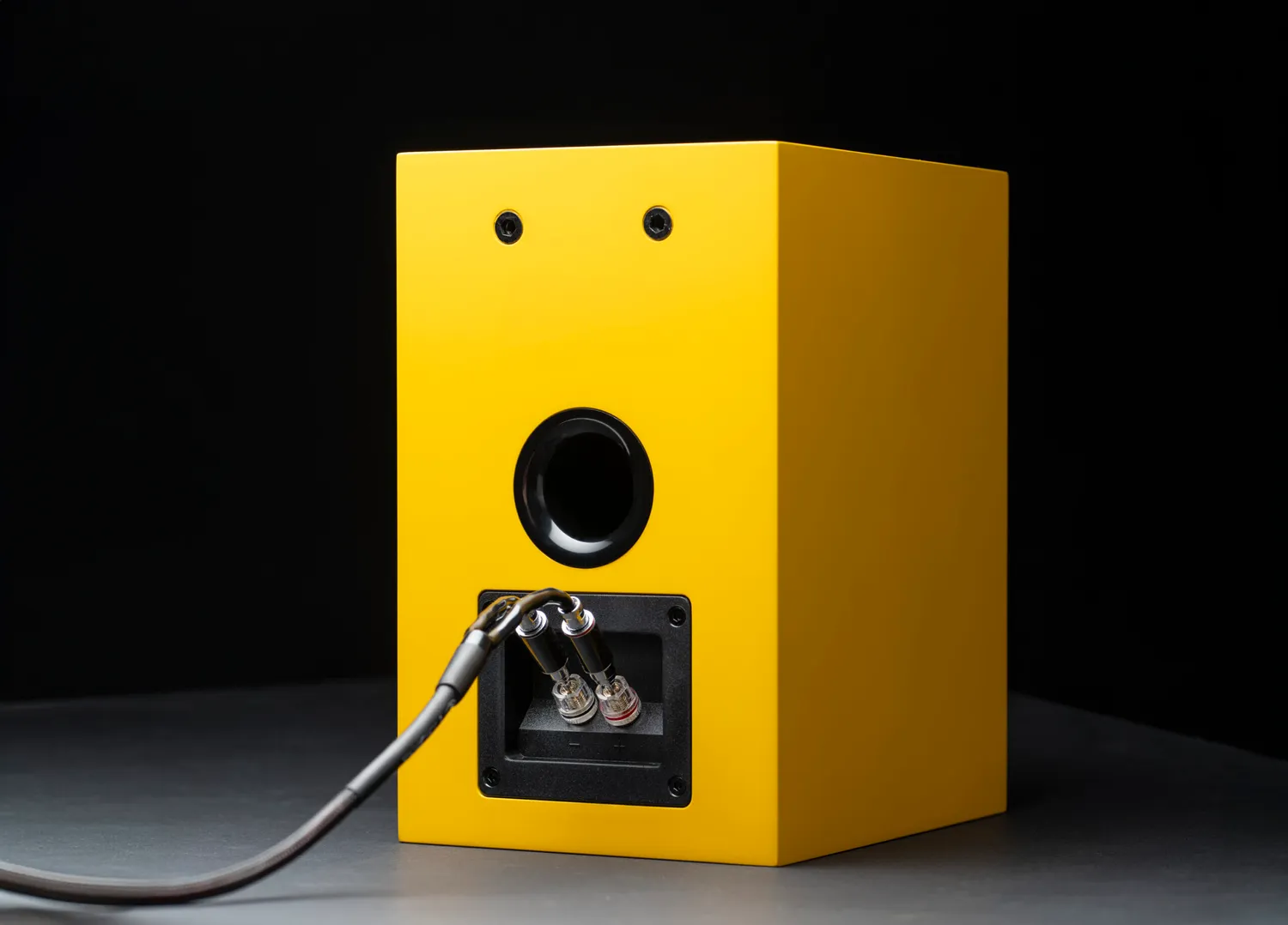 Pro-Ject Speaker Box 5 E Carbon högtalare bokhylla