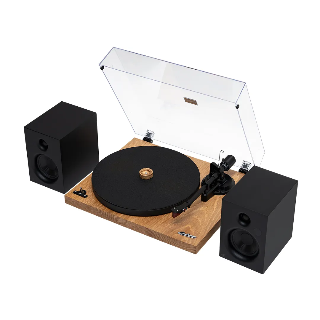 Gadhouse DUKE & ROY skivspelarsystem ek Bluetooth