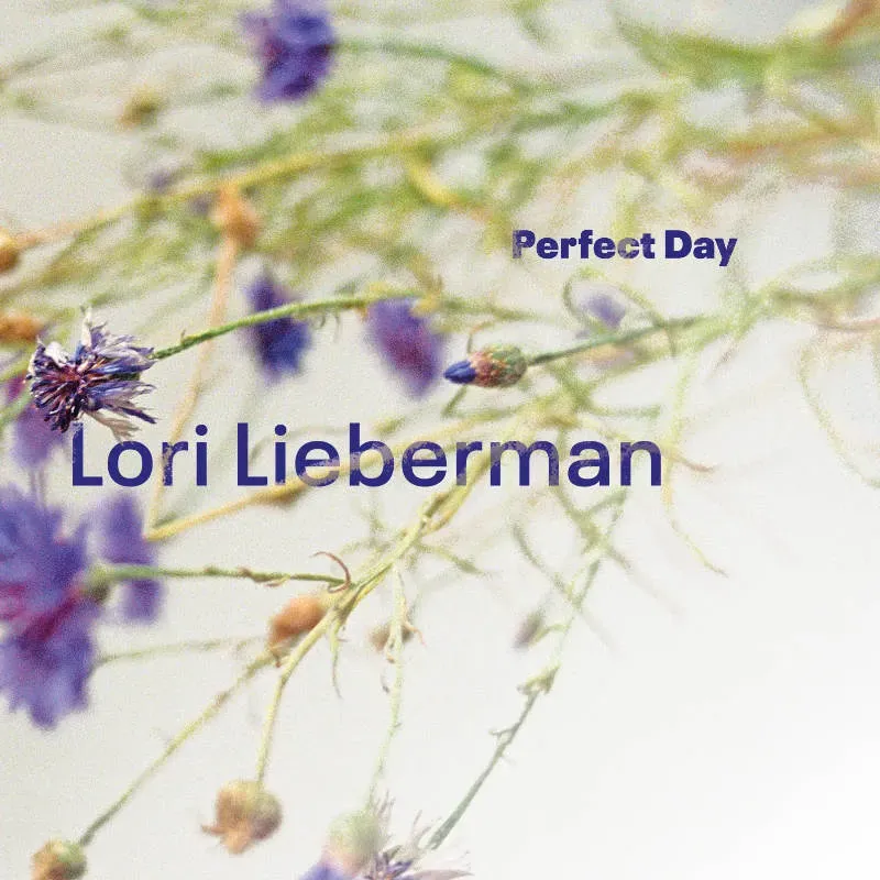 Revox Lori Lieberman Perfect Day masterband Standard Master CCIR